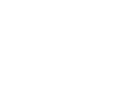 _0008_marelli