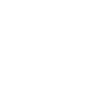_0017_dell