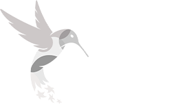 _0020_adata